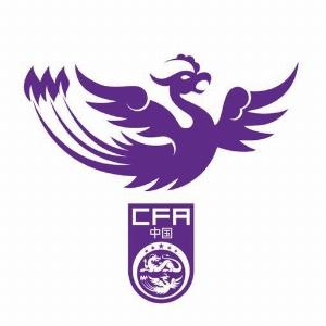 中國(guó)體育報(bào)：U17女足日本集訓(xùn)友誼賽3勝2平，對(duì)日本U17女足1勝1平