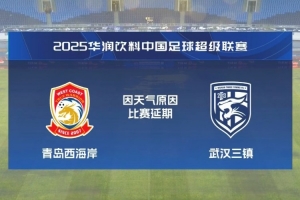 三鎮(zhèn)球迷不滿比賽延期：上半場(chǎng)逆風(fēng)吃虧了，這壓根就不應(yīng)該開(kāi)始