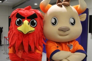 凡海牛球迷身著海牛元素，即可半價觀看國信男籃比賽