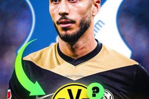 記者：多特、國米均有意霍芬海姆中場小將達馬爾