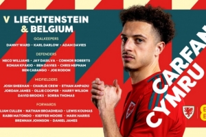 威爾士名單：布倫南-約翰遜、哈里-威爾遜、丹尼爾-詹姆斯在列