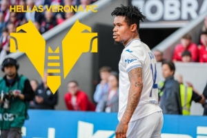 記者：先租后買，維羅納引進(jìn)霍芬海姆前鋒奧爾班達(dá)協(xié)議