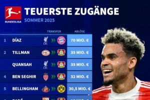 德甲今夏引援榜：迪亞斯7000萬斷崖領(lǐng)跑，蒂爾曼&寬薩領(lǐng)銜藥廠5將