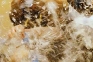 成功拿下總冠軍后，大家在更衣室用一場特別的狂歡慶祝榮耀時刻！