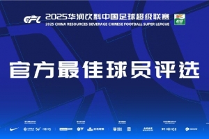 中超第29輪最佳候選：王燊超、鐘義浩、法比奧、澤卡、蘭克爾澤