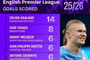 本賽季英超進球榜：哈蘭德14球居首，維爾貝克、姆伯莫在列