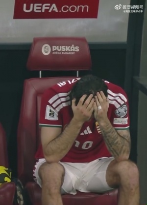 世界杯夢(mèng)碎??遭愛爾蘭絕殺，匈牙利隊(duì)長(zhǎng)索博斯洛伊賽后痛哭
