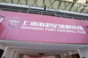 讓我們一同走近可愛的球迷們，聆聽他們?yōu)楹８坌冎穆曇? >
                                        </div>
                                    </div>
                                    <div   id=