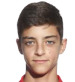 胡戈-阿爾瓦雷斯