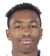 馬利克·福法納