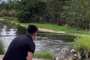 在鱷魚池和鱷魚一起打籃球是什么體驗(yàn)??????