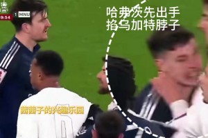 哈弗茨出手掐了烏加特脖子，加納喬加入戰(zhàn)斗干倒哈弗茨??