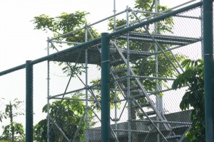 申花官方Vlog：熱身賽 上海申花4-1青島西海岸