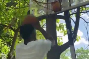 太搞了！網(wǎng)友惡搞：這就是歐文的上籃方式！