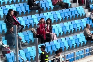 成都蓉城球迷做不雅手勢和姿勢挑釁大連球迷被安保勸離