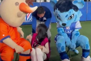 可可愛(ài)愛(ài)！申花吉祥物布魯和海牛吉祥物犇犇激情互動(dòng)