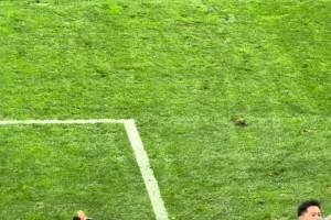 嫂子人漂亮唱歌又好聽??！“錘王”和愛妻李小萌大連主場(chǎng)獻(xiàn)唱