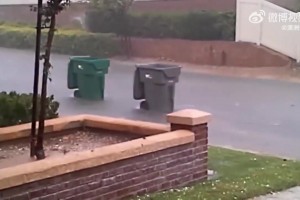 太損了！費城記者嘲諷：哈登和本西蒙斯離開球館的樣子??