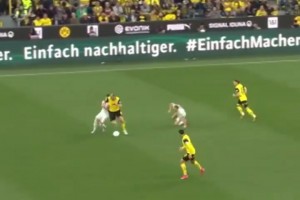 我就知道！聚勒這一下，原諒我不厚道的笑了！