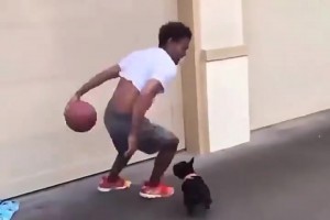 特雷楊以后的垃圾話：你還沒狗防的好！