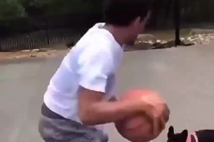 還是你會玩??特雷-楊遭遇小黑狗狗防守，花式運球戲耍+嘲諷~