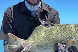 休賽期垂釣高手??西蒙斯社媒曬海釣收獲！直言這回運(yùn)氣爆棚~