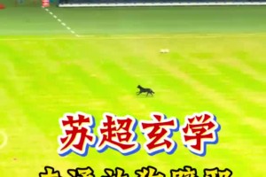 蘇超玄學！聽說你浪里馬邪乎？我放黑狗去邪！南通5-0大勝淮安