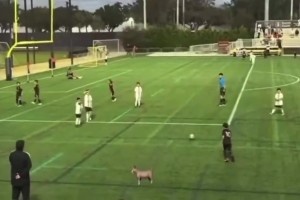 有你爹風(fēng)范！梅西三兒子任意球直接破門(mén)